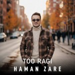 دانلود آهنگ هامان زارع به نام تو رگی