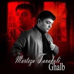 دانلود آهنگ مرتضی توکلی به نام قلب