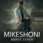 دانلود آهنگ جدید حامد زمانی به نام میکشونی