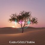 دانلود آهنگ علیرضا جوادی به نام گوزوم عاشقدی قارا گوزلرینه