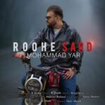دانلود آهنگ محمد یار به نام روح سرد