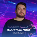 دانلود آهنگ رادوین پیرا به نام دلم تنگ میشه
