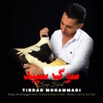 دانلود آهنگ تیرداد محمدی به نام سوگ سپید