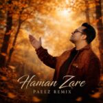 دانلود آهنگ هامان زارع به نام ریمیکس پاییز