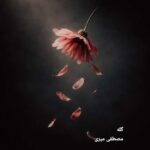 دانلود آهنگ مصطفی میری به نام گله