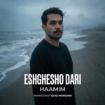 دانلود آهنگ حامیم به نام ورژن جدید عشقشو داری