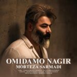 دانلود آهنگ مرتضی سرمدی به نام ورژن جدید امیدمو نگیر