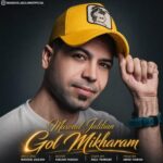 دانلود آهنگ مسعود جلیلیان به نام گل میخرم برات میریزم سر رات
