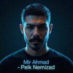 دانلود آهنگ میر احمد به نام پلک نمیزد