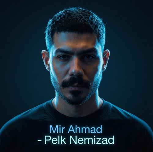 میر احمد پلک نمیزد