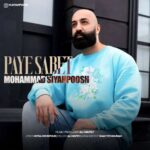 دانلود آهنگ محمد سیاهپوش به نام پای ثابت