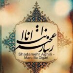 دانلود آهنگ شادمهر عقیلی به نام مرو با دیگری